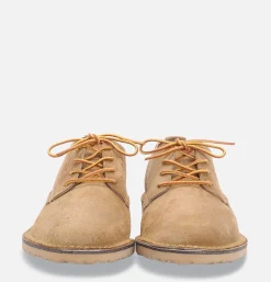 3302 - Weekender Oxford