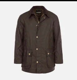 Ashby Jacket Olive