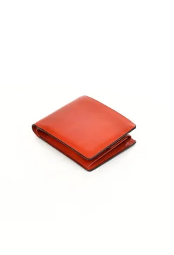 Bi fold wallet/coin