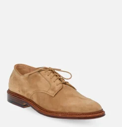 29332F - Plain Toe Blucher Suede Tan
